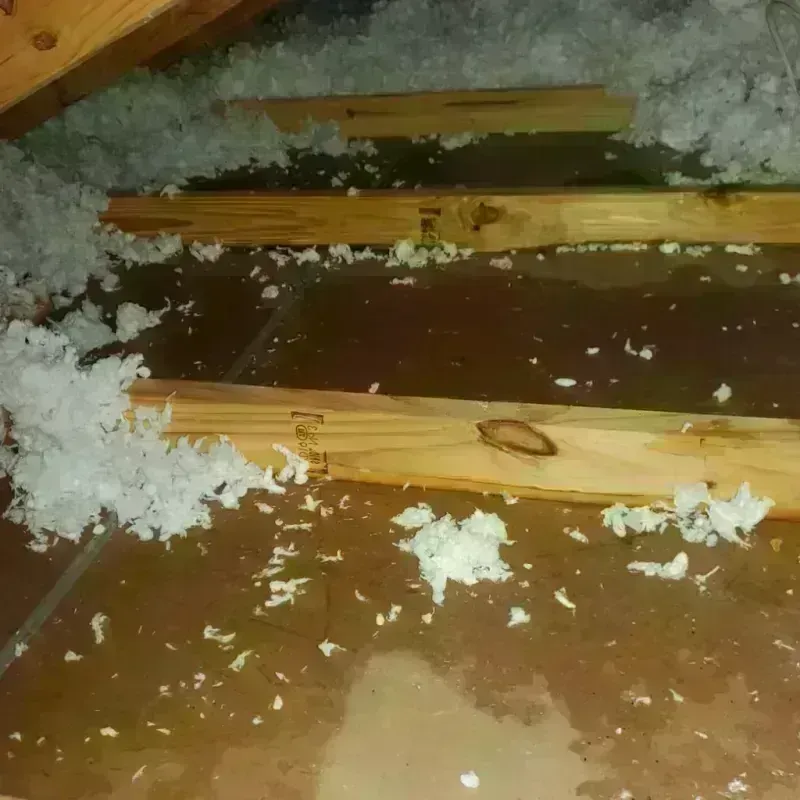 Attic Water Damage in Buda, TX