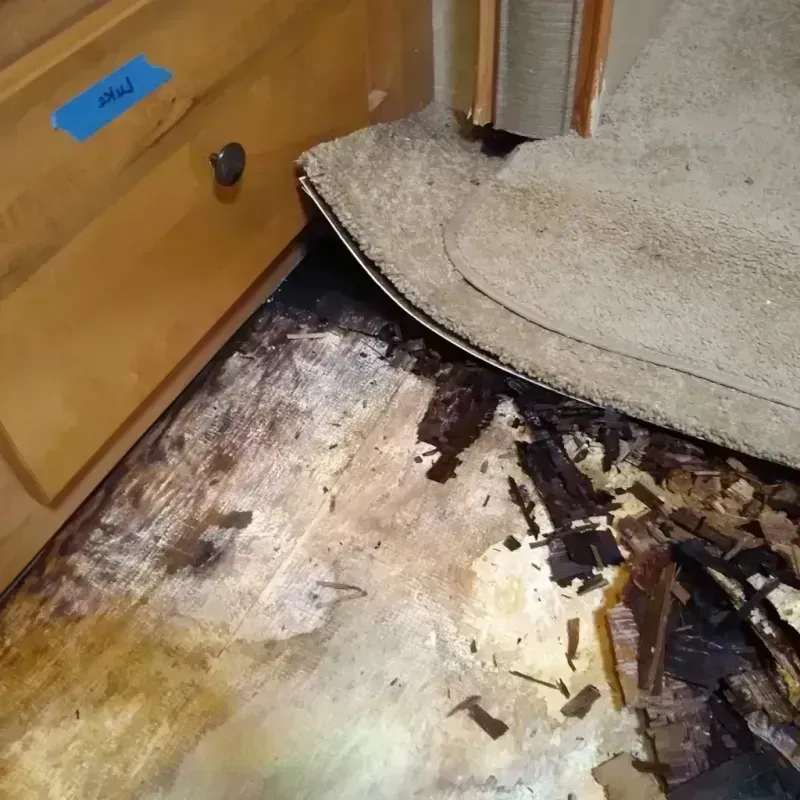 Wood Floor Water Damage in Buda, TX